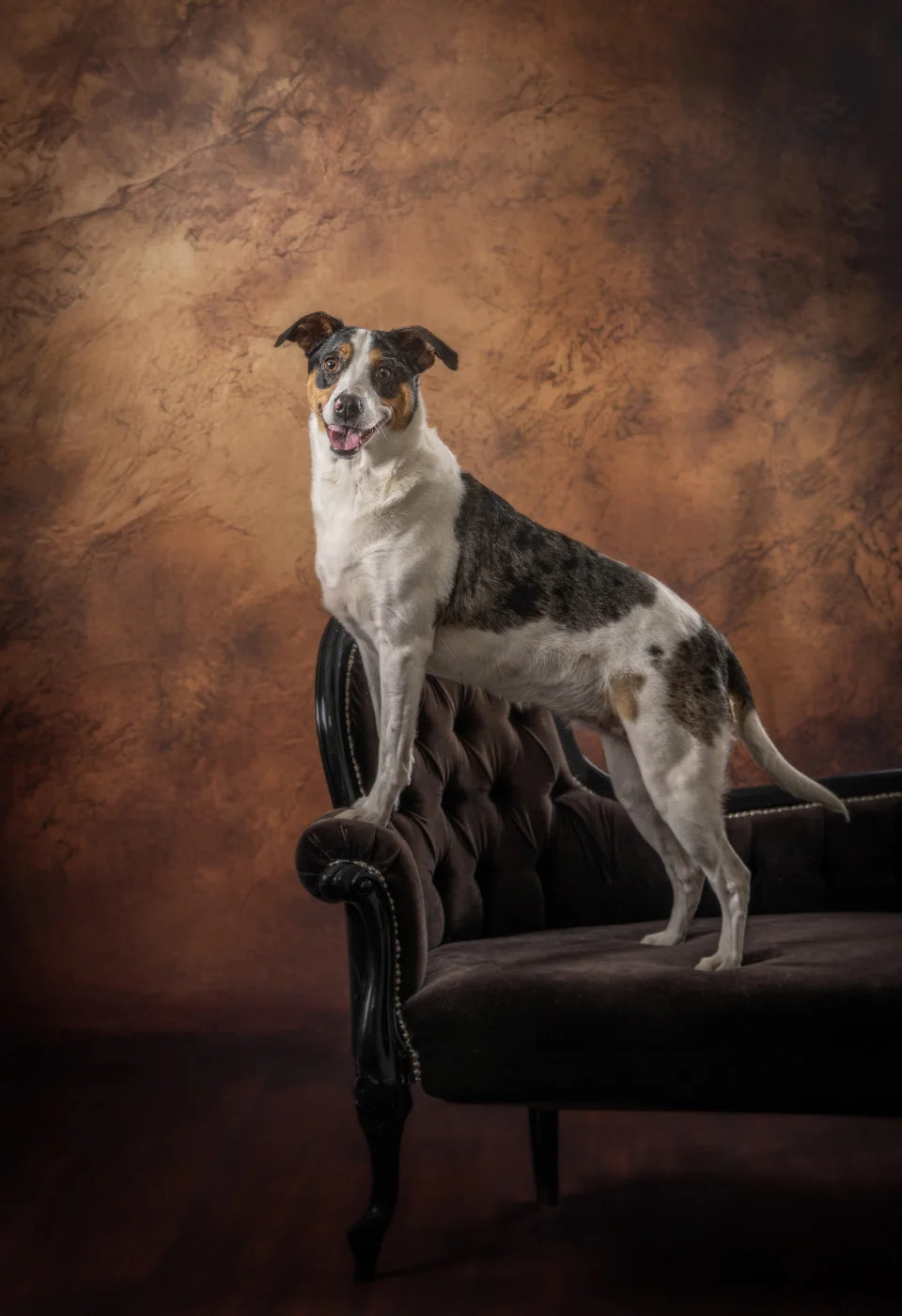 Aged Brown Leather Backdrop