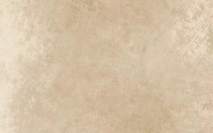 Aged Cream 14X9 Ultracloth ( 168 X 108 Inch ) Backdrop