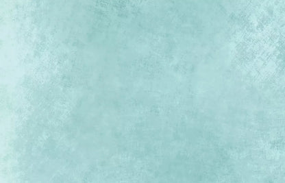 Aged Mint 12X8 Ultracloth ( 144 X 96 Inch ) Backdrop