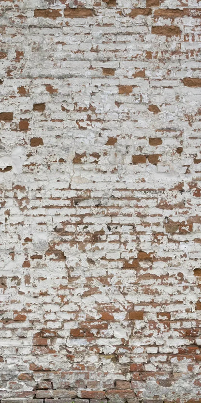 Alcatraz 10X20 Ultracloth ( 120 X 240 Inch ) Backdrop