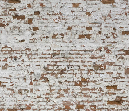 Alcatraz 12X10 Ultracloth ( 144 X 120 Inch ) Backdrop