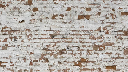 Alcatraz 14X8 Ultracloth ( 168 X 96 Inch ) Backdrop