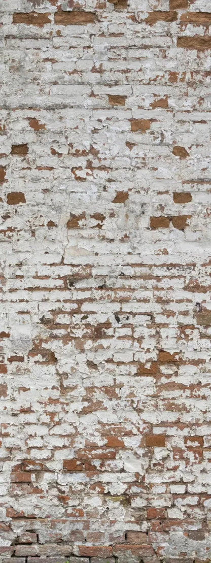 Alcatraz 8X20 Ultracloth ( 96 X 240 Inch ) Backdrop