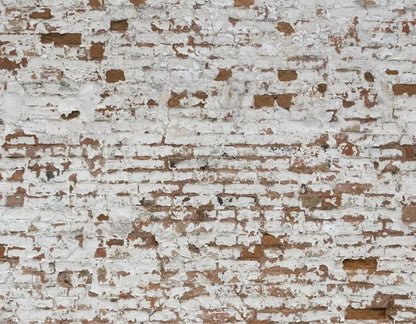 Alcatraz 8X6 Fleece ( 96 X 72 Inch ) Backdrop