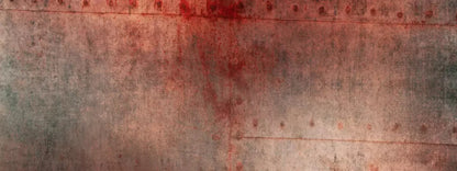 Alex 20X8 Ultracloth ( 240 X 96 Inch ) Backdrop