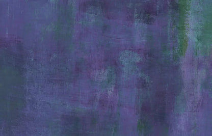 Alexander 12X8 Ultracloth ( 144 X 96 Inch ) Backdrop