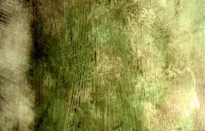Algae 12X8 Ultracloth ( 144 X 96 Inch ) Backdrop