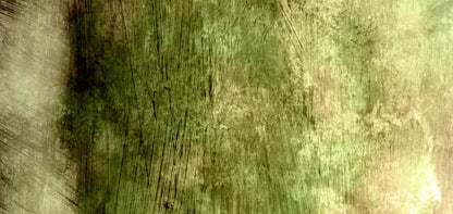 Algae 16X8 Ultracloth ( 192 X 96 Inch ) Backdrop
