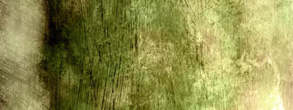 Algae 20X8 Ultracloth ( 240 X 96 Inch ) Backdrop