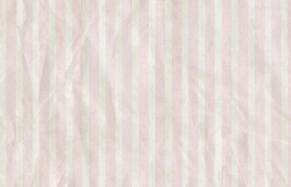 Alisha 12X8 Ultracloth ( 144 X 96 Inch ) Backdrop