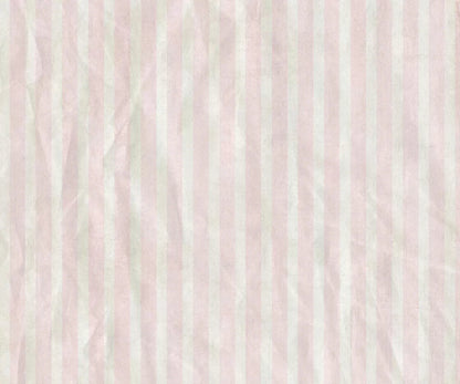 Alisha 5X42 Fleece ( 60 X 50 Inch ) Backdrop
