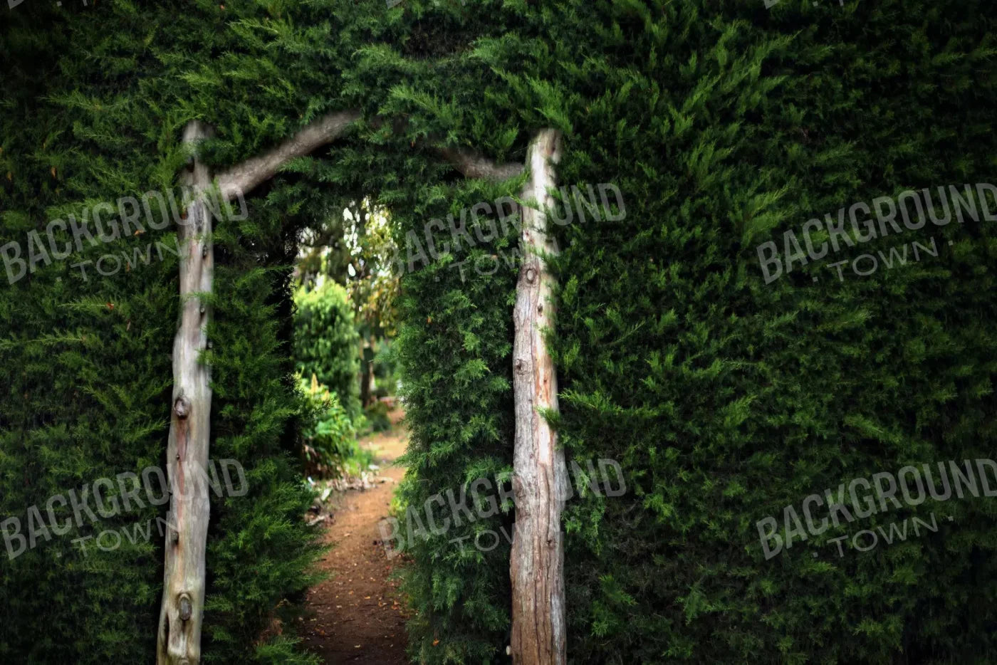 Alison In Wunderland 8X5 Ultracloth ( 96 X 60 Inch ) Backdrop