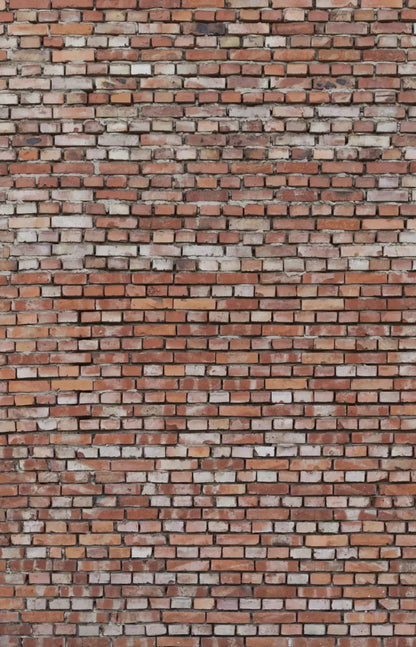 Alley 8X12 Ultracloth ( 96 X 144 Inch ) Backdrop