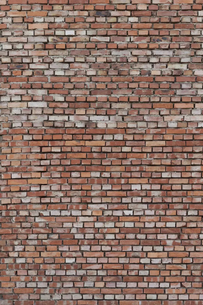 Alley 5X76 For Lvl Up Backdrop System ( 60 X 90 Inch )