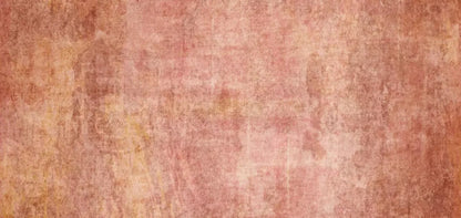 Allie Orange 16X8 Ultracloth ( 192 X 96 Inch ) Backdrop