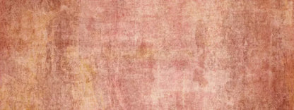 Allie Orange 20X8 Ultracloth ( 240 X 96 Inch ) Backdrop