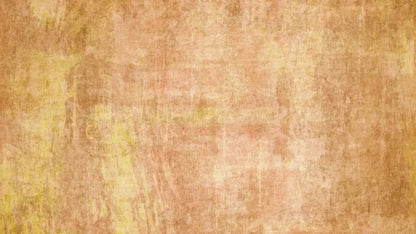 Allie Peach 14X8 Ultracloth ( 168 X 96 Inch ) Backdrop