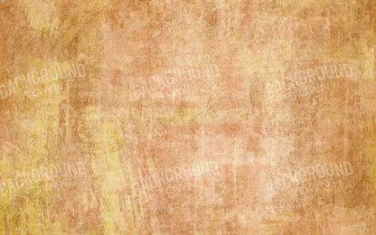 Allie Peach 14X9 Ultracloth ( 168 X 108 Inch ) Backdrop
