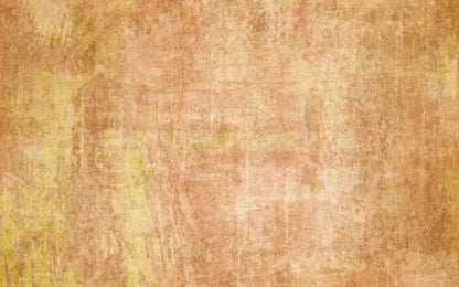 Allie Peach 14X9 Ultracloth ( 168 X 108 Inch ) Backdrop