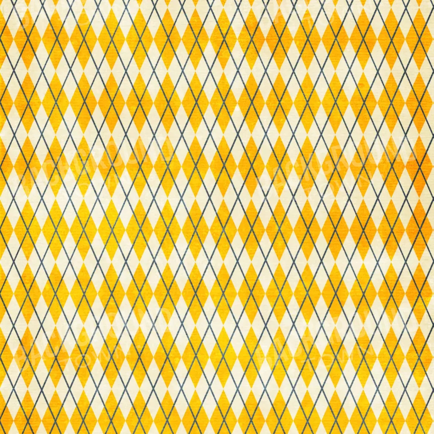 Amber Argyle 10X10 Ultracloth ( 120 X Inch ) Backdrop