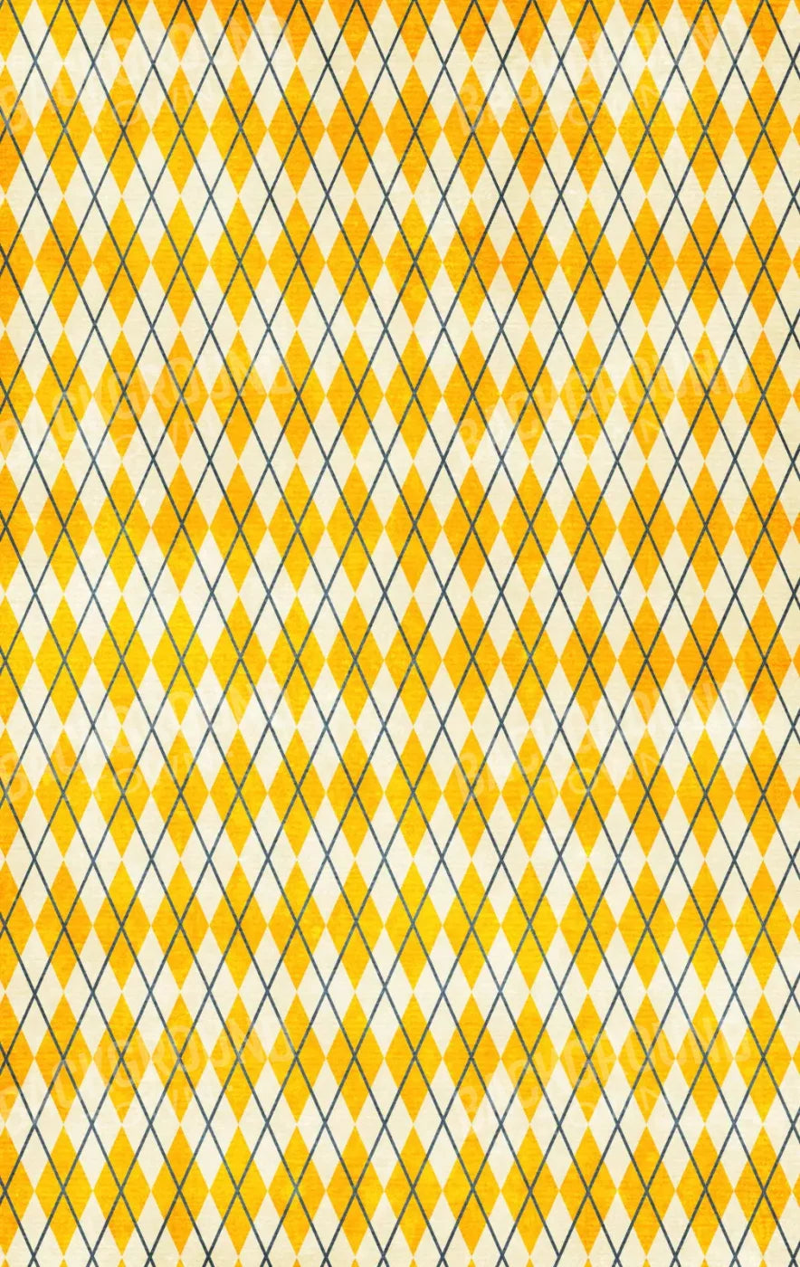 Amber Argyle 10X16 Ultracloth ( 120 X 192 Inch ) Backdrop