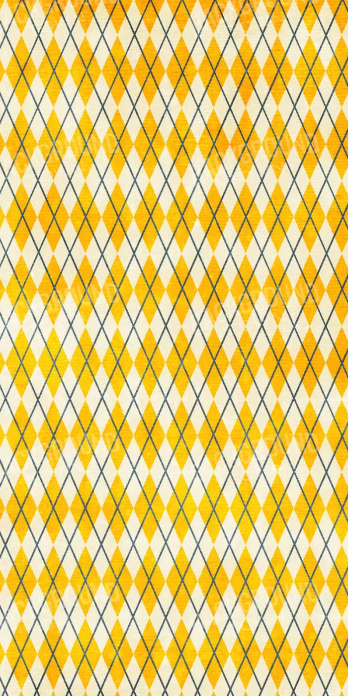 Amber Argyle 10X20 Ultracloth ( 120 X 240 Inch ) Backdrop
