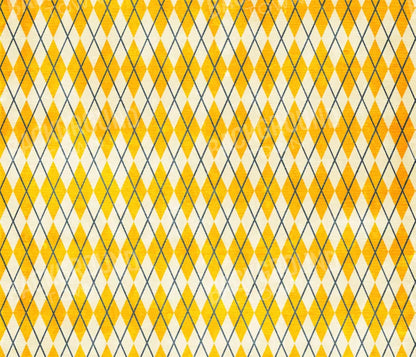 Amber Argyle 12X10 Ultracloth ( 144 X 120 Inch ) Backdrop