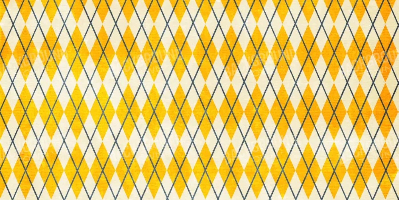 Amber Argyle 20X10 Ultracloth ( 240 X 120 Inch ) Backdrop