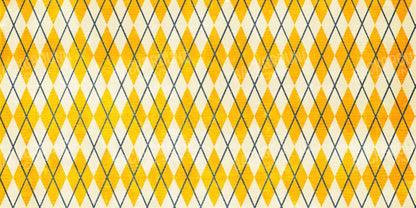 Amber Argyle 20X10 Ultracloth ( 240 X 120 Inch ) Backdrop