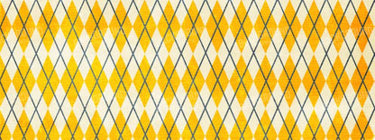 Amber Argyle 20X8 Ultracloth ( 240 X 96 Inch ) Backdrop