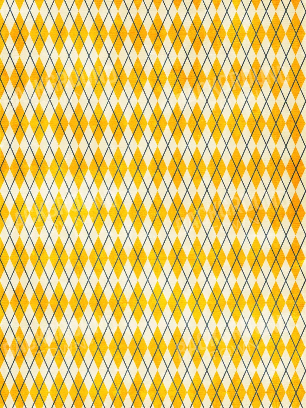 Amber Argyle 5X7 Ultracloth ( 60 X 84 Inch ) Backdrop