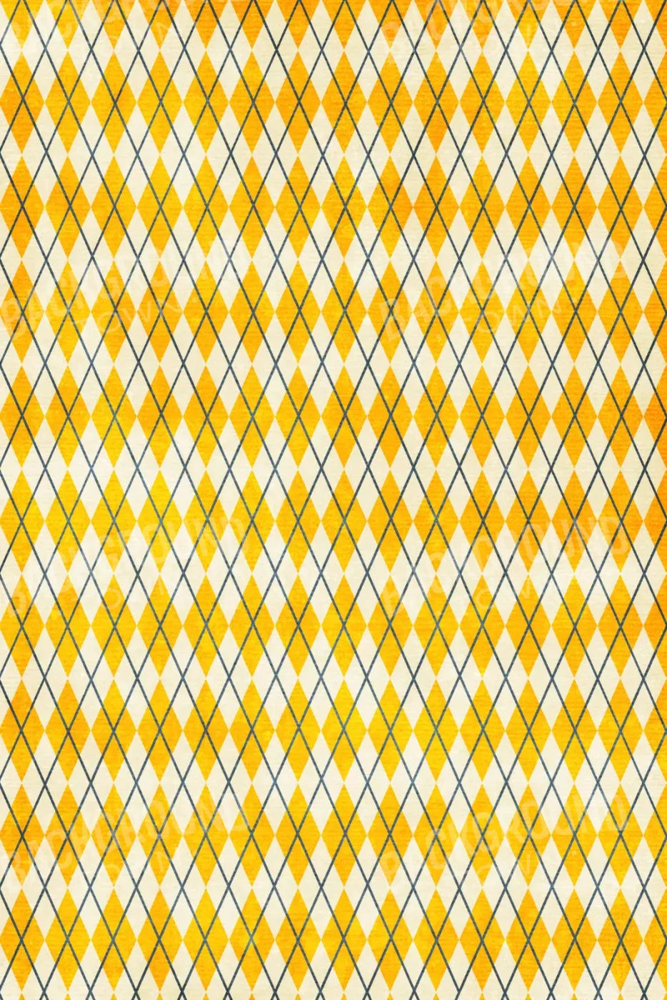 Amber Argyle 5X8 Ultracloth ( 60 X 96 Inch ) Backdrop