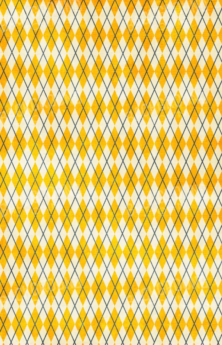 Amber Argyle 8X12 Ultracloth ( 96 X 144 Inch ) Backdrop