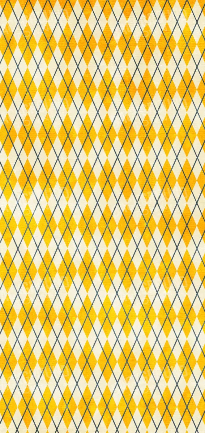 Amber Argyle 8X16 Ultracloth ( 96 X 192 Inch ) Backdrop