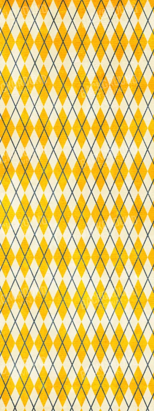 Amber Argyle 8X20 Ultracloth ( 96 X 240 Inch ) Backdrop