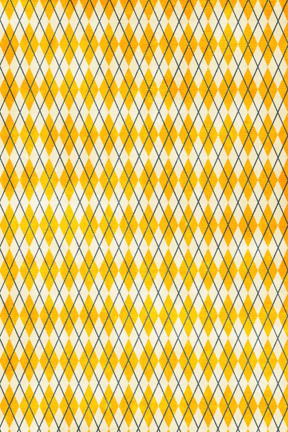 Amber Argyle 5X76 For Lvl Up Backdrop System ( 60 X 90 Inch )