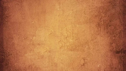 Amberlynn 14X8 Ultracloth ( 168 X 96 Inch ) Backdrop