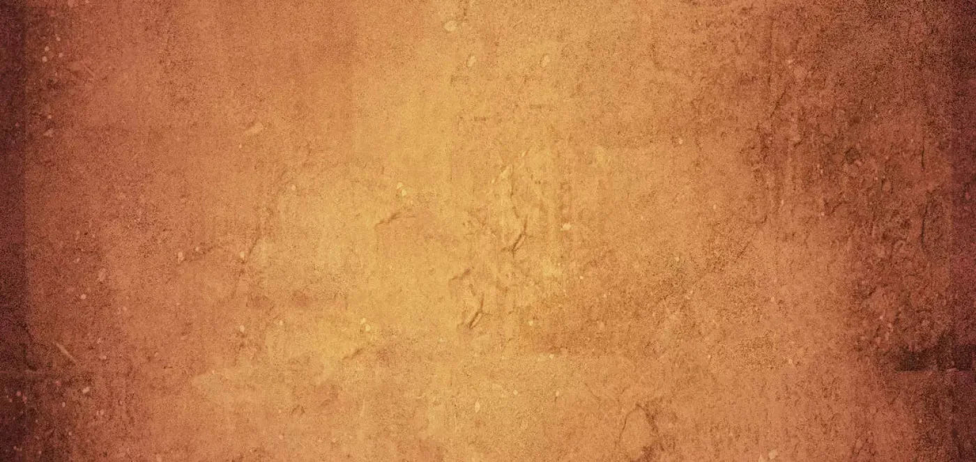 Amberlynn 16X8 Ultracloth ( 192 X 96 Inch ) Backdrop