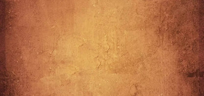 Amberlynn 16X8 Ultracloth ( 192 X 96 Inch ) Backdrop