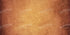 Amberlynn 20X10 Ultracloth ( 240 X 120 Inch ) Backdrop