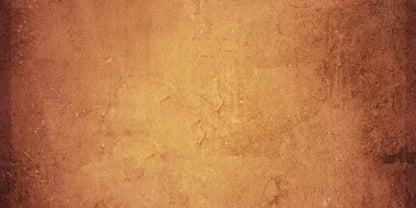 Amberlynn 20X10 Ultracloth ( 240 X 120 Inch ) Backdrop