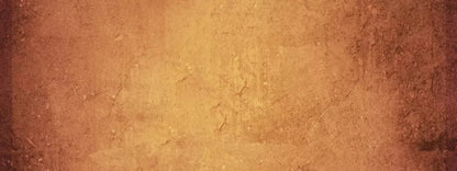 Amberlynn 20X8 Ultracloth ( 240 X 96 Inch ) Backdrop