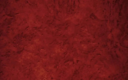 Amp 14X9 Ultracloth ( 168 X 108 Inch ) Backdrop