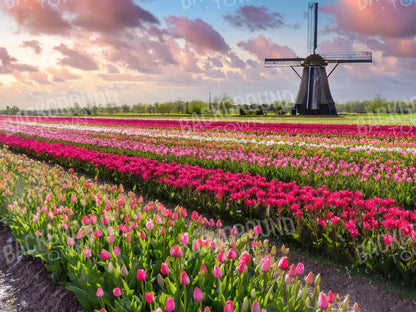 Amsterdam 6’8x5’ Fleece (80 x 60 inch) Backdrop