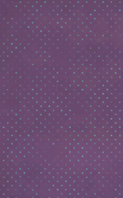 Anastyn 9X14 Ultracloth ( 108 X 168 Inch ) Backdrop