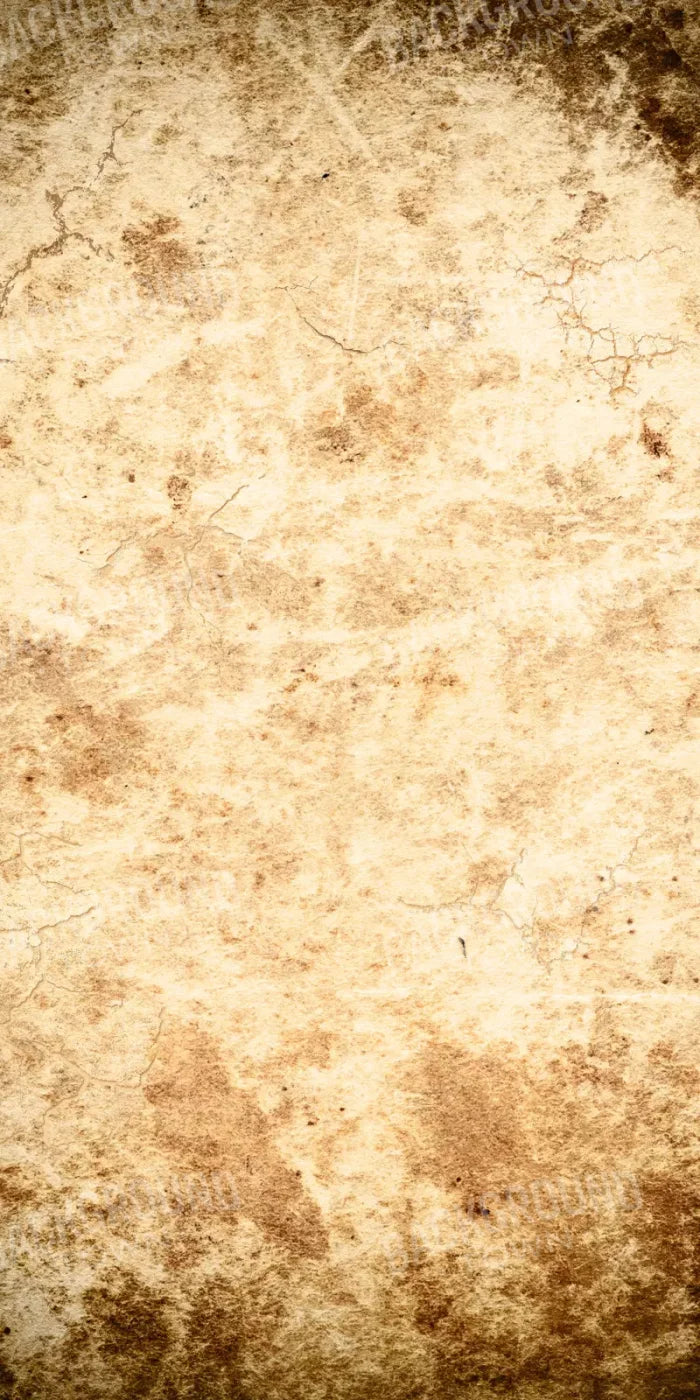 Ancient 10X20 Ultracloth ( 120 X 240 Inch ) Backdrop