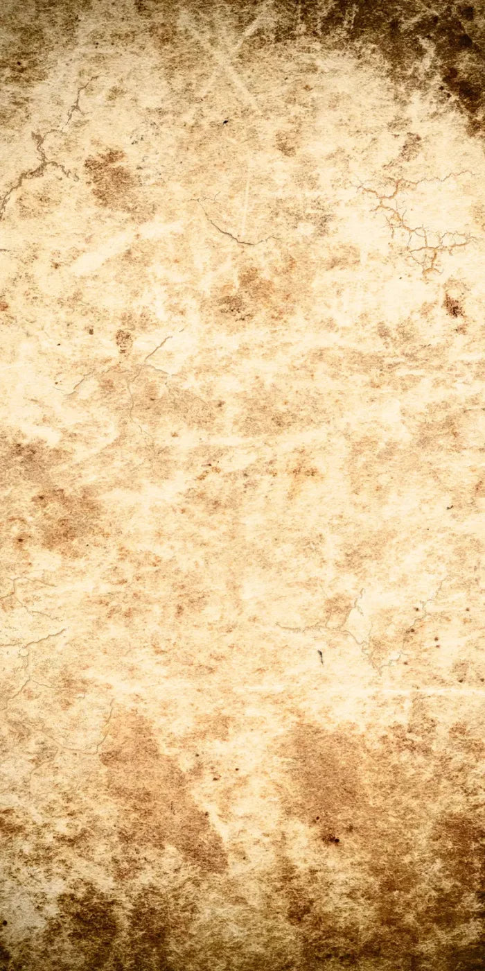 Ancient 10X20 Ultracloth ( 120 X 240 Inch ) Backdrop