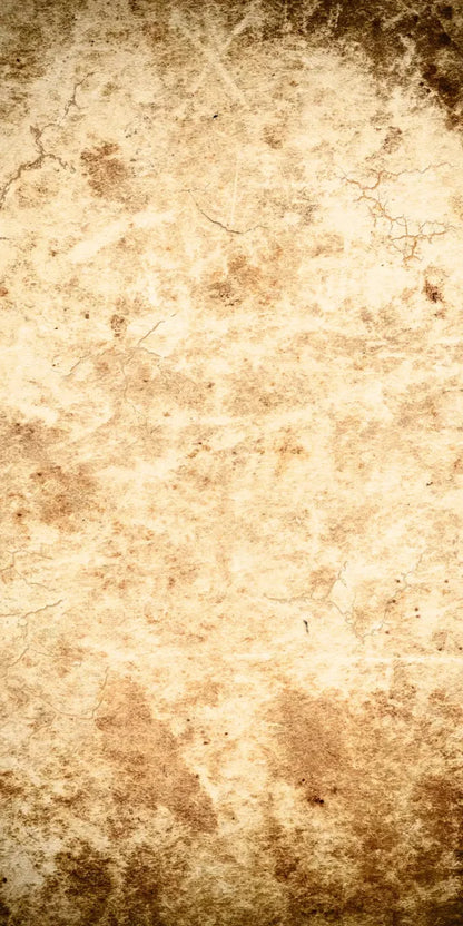 Ancient 10X20 Ultracloth ( 120 X 240 Inch ) Backdrop