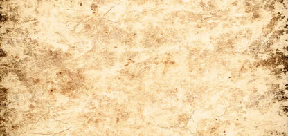 Ancient 16X8 Ultracloth ( 192 X 96 Inch ) Backdrop