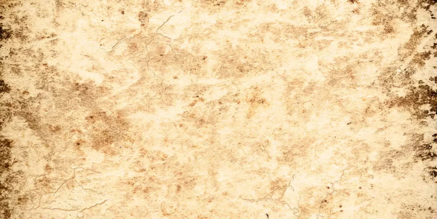 Ancient 20X10 Ultracloth ( 240 X 120 Inch ) Backdrop